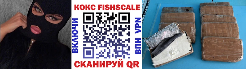 mega ССЫЛКА  Анива  Cocaine Fish Scale  сколько стоит 
