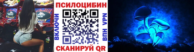 Псилоцибиновые грибы мухоморы  площадка клад  Анива  ОМГ ОМГ как войти 